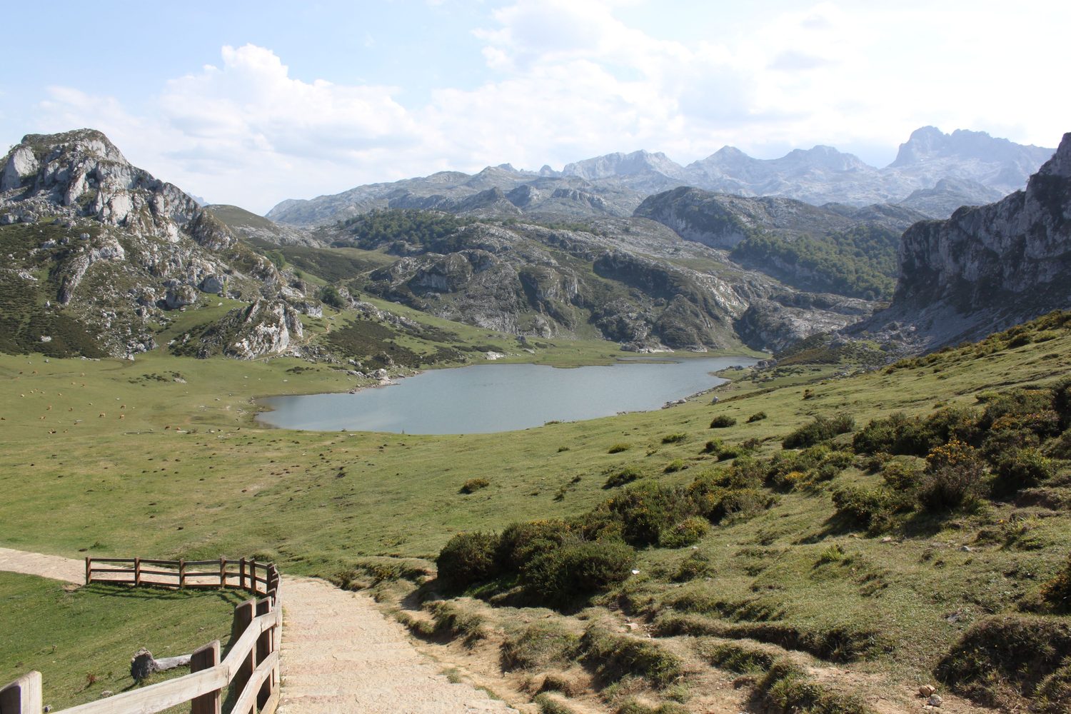 Lago de Covadonga con los Picos de Europa al fondo