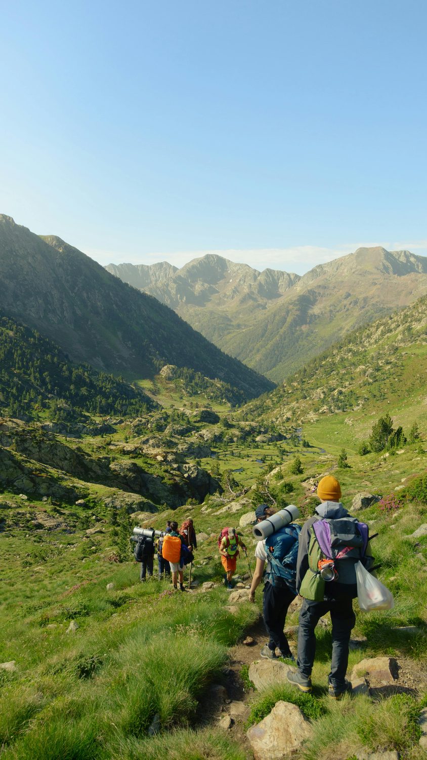 Grupo de montañeros caminando por un valle verde
