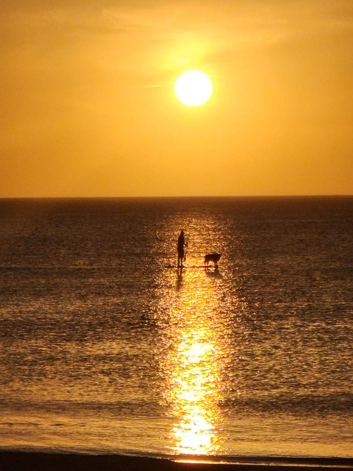 Silueta en paddle surf al atardecer dorado